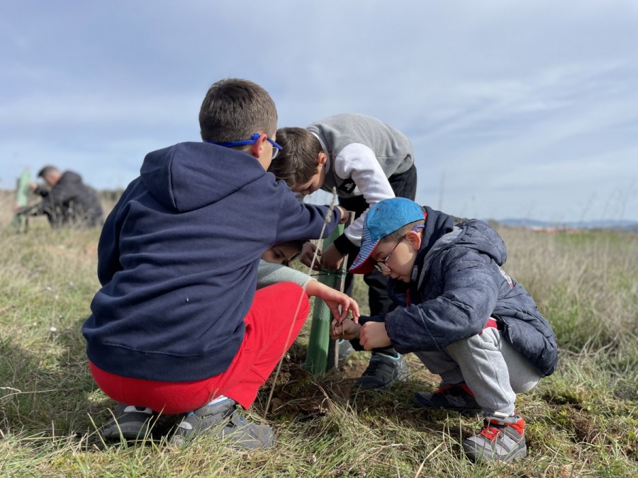 Plantaci N De Rboles En Apodaca Colegio San Prudencio Ikastetxea